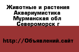 Животные и растения Аквариумистика. Мурманская обл.,Североморск г.